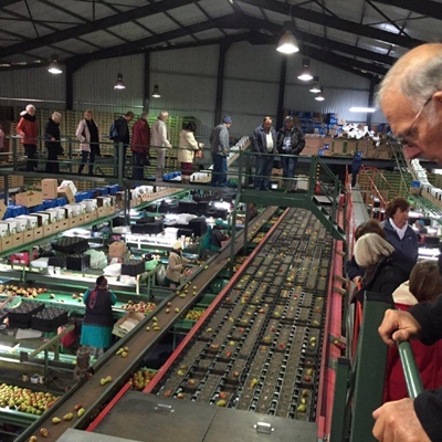 Vrugteboerdery beïndruk groenvingers